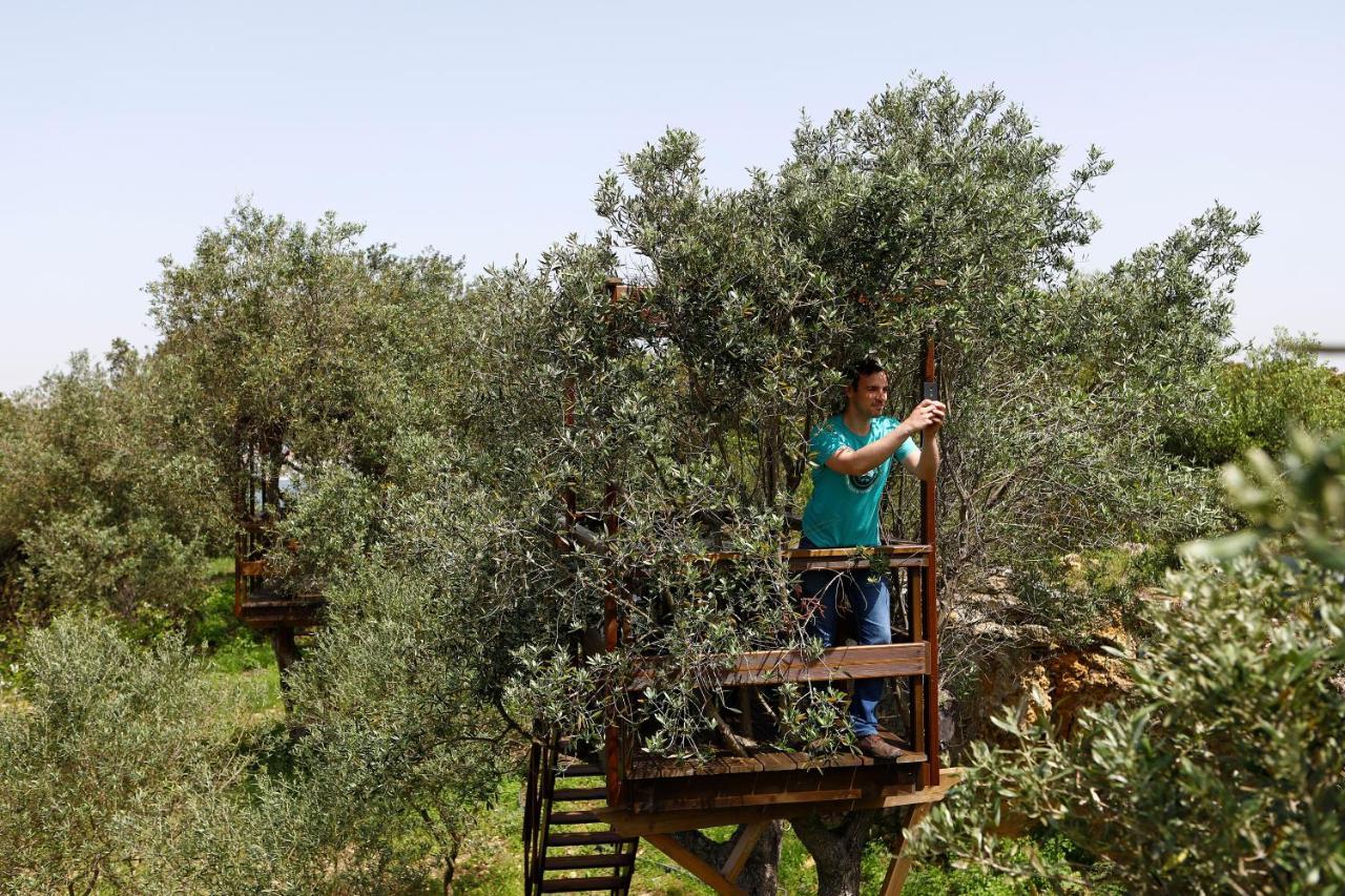 Ola Belem! Cozy Windmill, Stunning Views To Lisboa Bed and Breakfast Caparica Exteriör bild